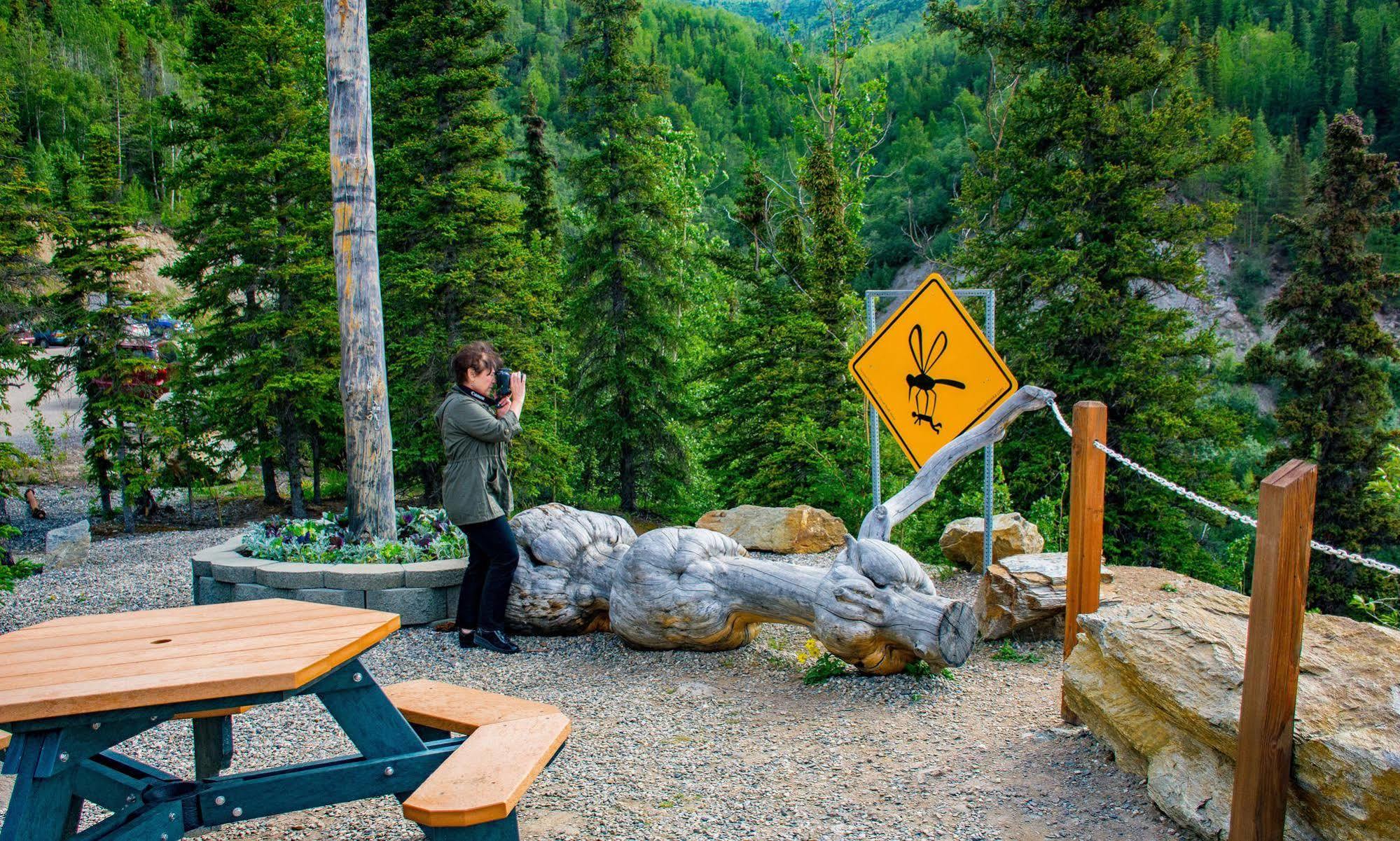 Grande Denali Lodge Denali Park Екстер'єр фото